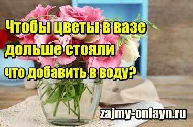 Чтобы цветы в вазе дольше стояли, что добавить в воду