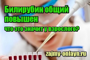 Билирубин общий повышен – что это значит у взрослого