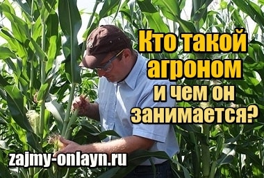 Кто такой агроном и чем он занимается