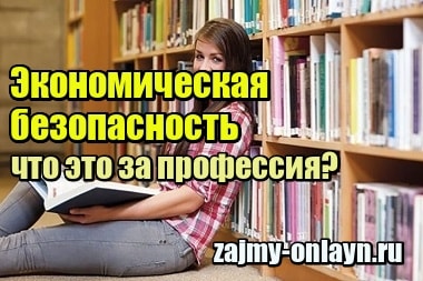 Экономическая безопасность – что это за профессия