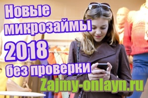 Новые микрозаймы 2019: без проверки, онлайн